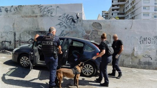 A Toulon, 9 commerces ciblés et 3 étrangers interpellés à Pontcarral