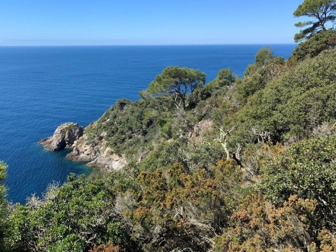 A Hyères, le Parc nationa