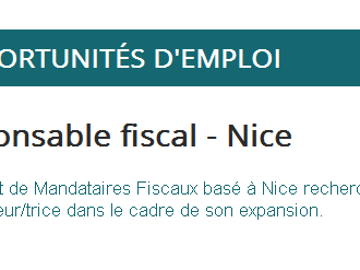 Offre d'emploi : Responsable fiscal de langue maternelle russe