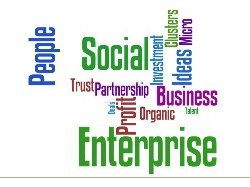  Le social business : une entreprise rentable et non délocalisable