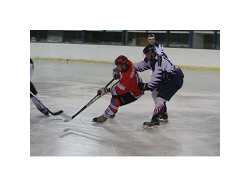 Hockey sur glace : Les Aigles remportent la saison régulière