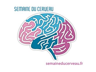 Semaine du cerveau sur la Côte d'Azur du 11 au 17 mars 2013 ?
