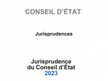 Le guide de jurisprudence 2023 'Petit Combarnous' du Conseil d'État est en ligne