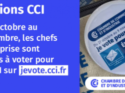 Elections des CCI 2021 : les chefs d'entreprise sont appelés à voter pour leur CCI du 27 octobre au 9 novembre