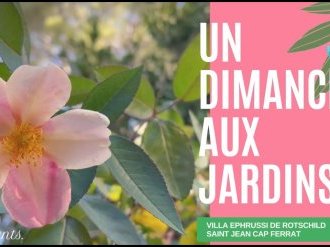 Un merveilleux dimanche aux jardins de la Villa Ephrussi