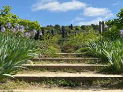 Les jardins du MIP à Mouans-Sartoux ouvrent leurs portes au public un mois plus tôt !