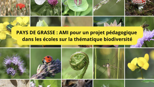Grasse : Appel à manifestation d'intérêt (AMI) pour un projet pédagogique à déployer dans les écoles sur la thématique biodiversité