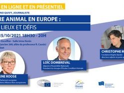 Débat "bien-être animal en Europe : état des lieux et défis" à Villeneuve-Loubet