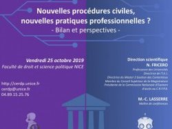 Colloque CERDP : Nouvelles procédures civiles, nouvelles pratiques professionnelles ? Bilan et perspectives