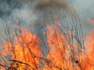 Situation climatique : interdiction de tous brûlages de végétaux jusqu'au 20 février 2022 inclus dans les Alpes-Maritimes