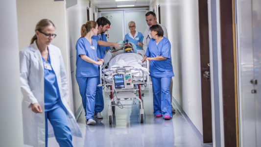 Projet d'hôpital à Nice : « Opportunité historique » pour le CHU et la Fondation Lenval