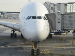 Flyskam : le phénomène qui inquiète les compagnies aériennes européennes