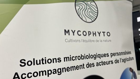 Une nouvelle levée de fonds de 4M€ pour Mycophyto qui marque l'ambition de l'ère industrielle