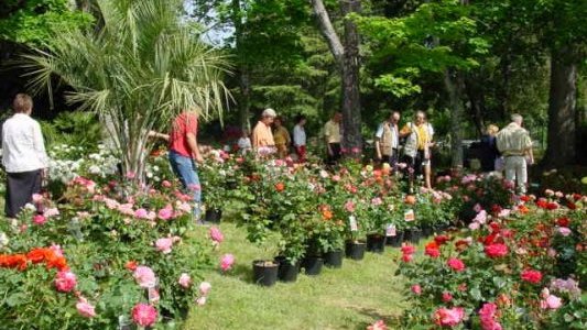 13ème SALON DES PLANTES ET DES ROSES AU CHATEAU SAINTE ROSELINE