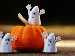 L'essentiel de l'actualité de ce vendredi 31 octobre L'essentiel de l'actualité de ce vendredi 31 octobre