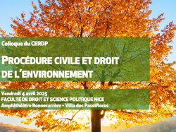 Colloque CERDP : « Procédure civile et droit de l'environnement »