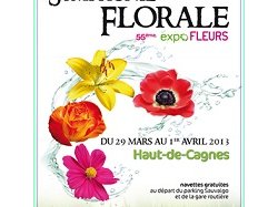Expo fleurs : 55ème édition "symphonie florale"