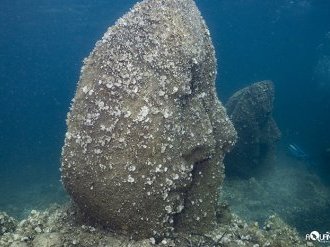 Restauration des herbiers de posidonies : la zone de l'écomusée sous-marin de Cannes en première ligne