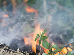 Période rouge réglementant l'emploi du feu : interdiction des brulages de végétaux jusqu'au 30 septembre 2022
