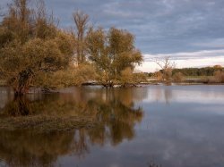 Reconnaissance de l'état de catastrophe naturelle - intempéries 2019/2020