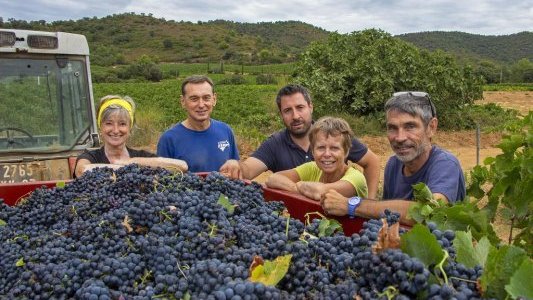 Au Domaine de Favanquet, le plaisir du partage 