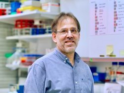 Rob Arkowitz de l'institut de biologie Valrose, élu membre de l'American Academy of Microbiology