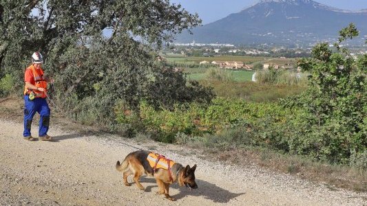 Avec VEOLIA, des chiens pour détecter des fuites d'eau sur le réseau !