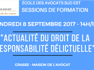 Formation EDA Sud Est : Actualité du droit de la responsabilité délictuelle