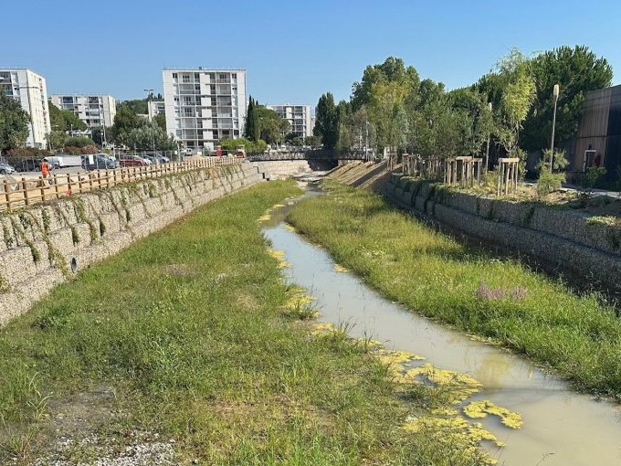 Le cours d'eau La Frayère