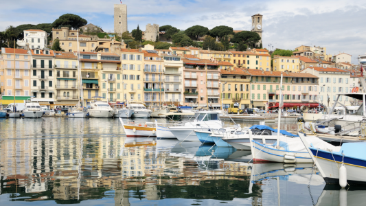 Avec la SECA, Cannes protège son environnement marin